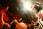 PUNK LIVES!